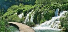 50 Shades of Green