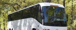 Bussresor till Kroatien