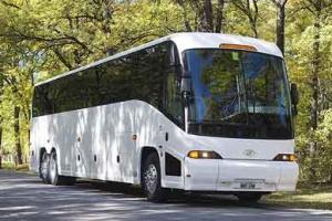Bussresor
