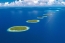 Island hopping - Kvarner bay