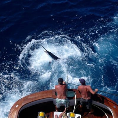 Activity holidays - Big-game fishing in Croatia - Big-game fishing in Croatia on the boat Super Cat