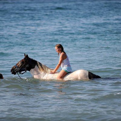 Activity holidays - Sport & Adventure in Croatia - Horseback Riding Holiday 8 days