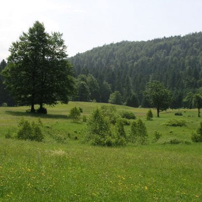 Risnjak National Park - Croatia
