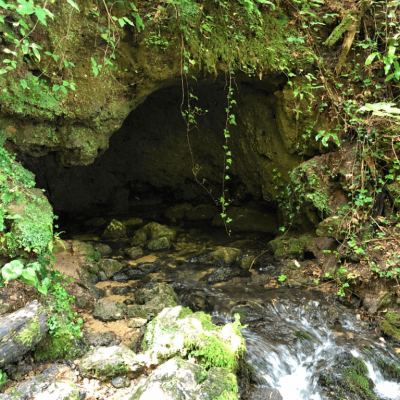 Jankovacki creek spring Papuk